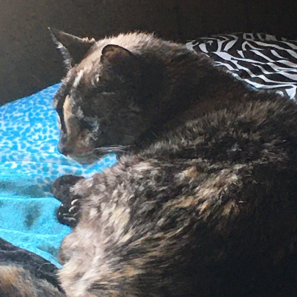 Meet your Posher, Meagan